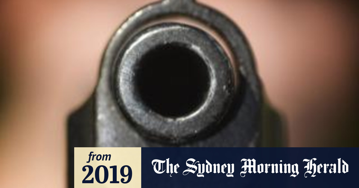 More guns in Australia now than before the Port Arthur massacre report